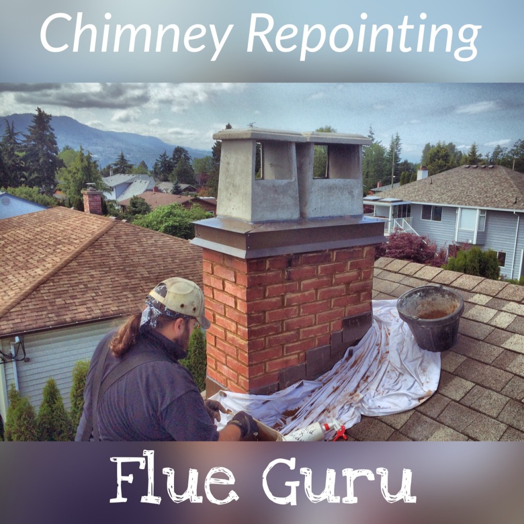 chimney caps repointing chimney